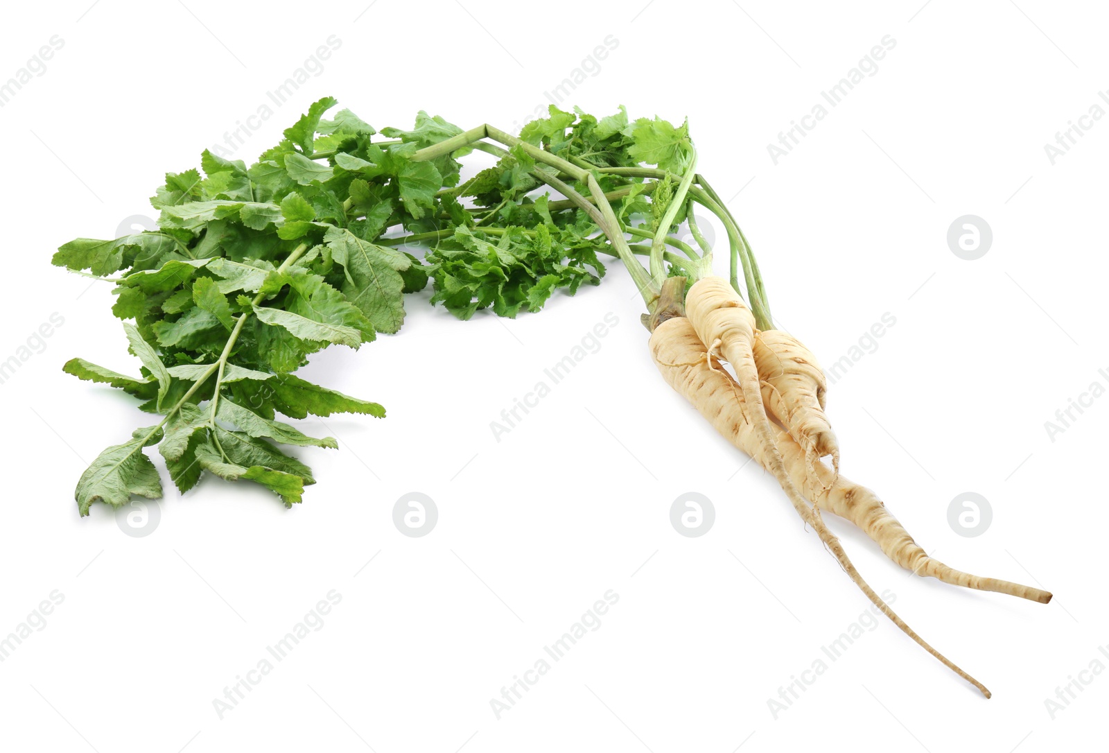 Photo of Tasty fresh ripe parsnips on white background