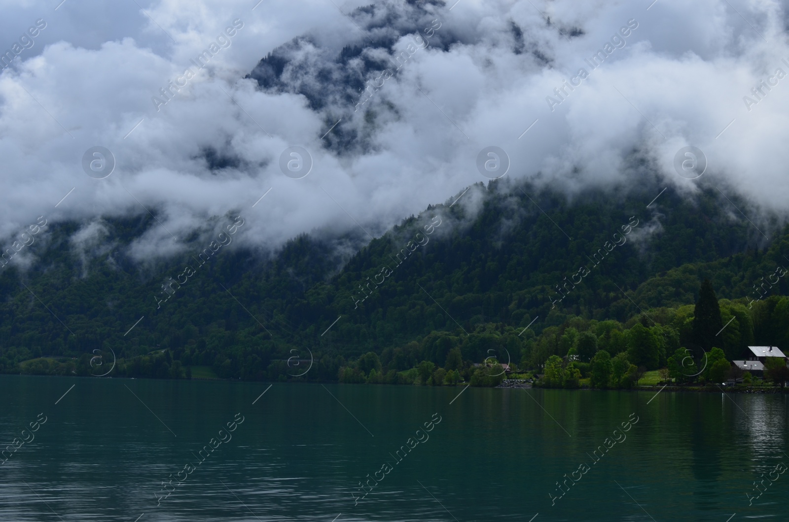 Photo of Picturesque view of beautiful river and green forest in mountains