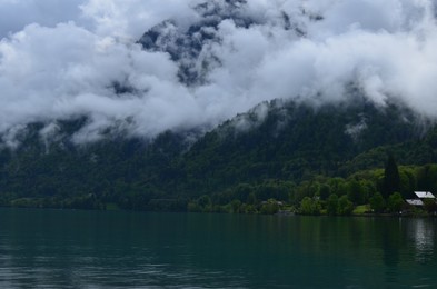 Picturesque view of beautiful river and green forest in mountains