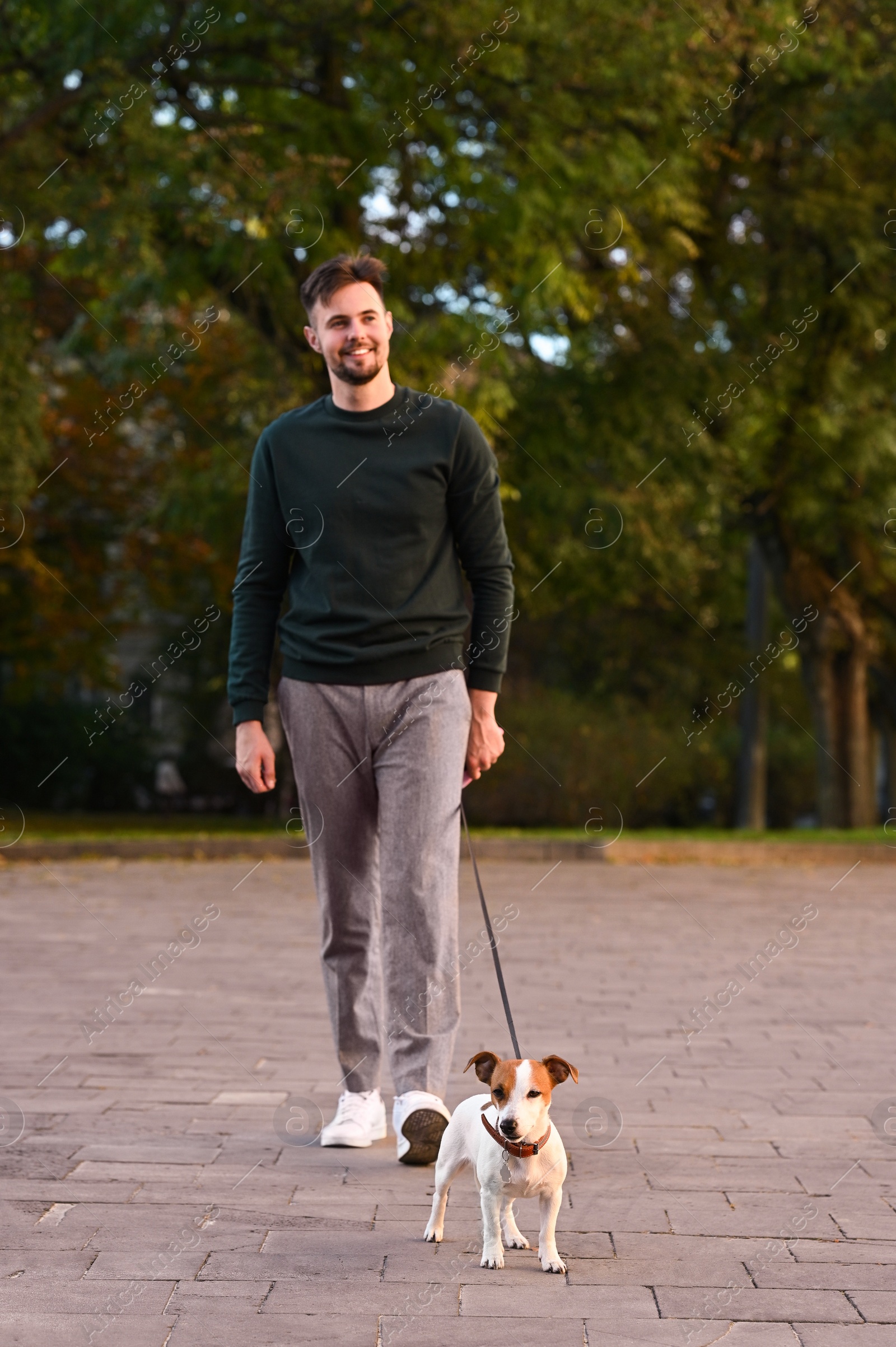 Photo of Man with adorable Jack Russell Terrier on city street. Dog walking