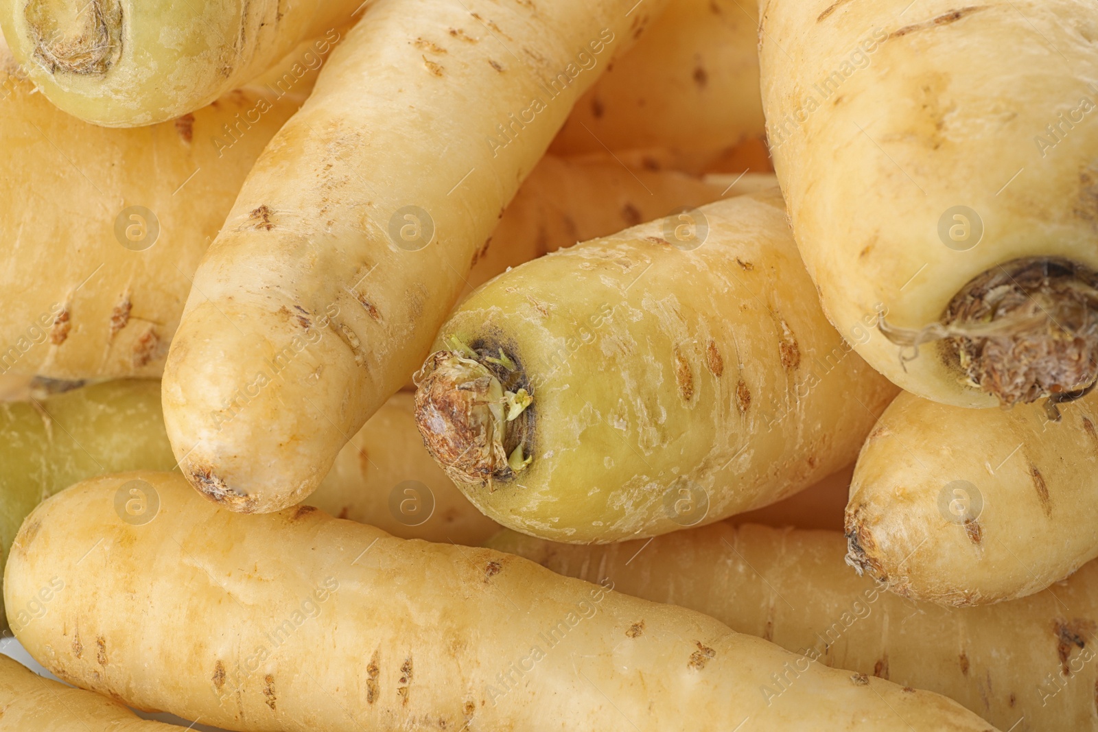 Photo of Fresh raw white carrots as background, closeup