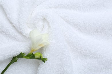 Photo of Freesia flower on white terry towel, top view