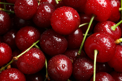 Sweet red cherries with water drops as background, closeup