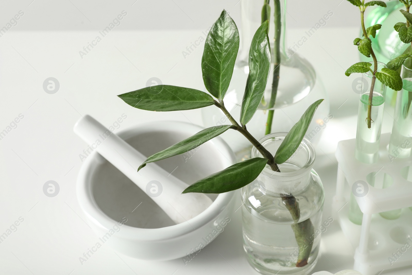 Photo of Ceramic mortar and laboratory glassware with plants on white background, closeup. Chemistry concept