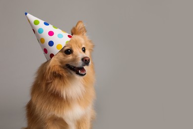 Cute dog with party hat on light grey background, space for text. Birthday celebration