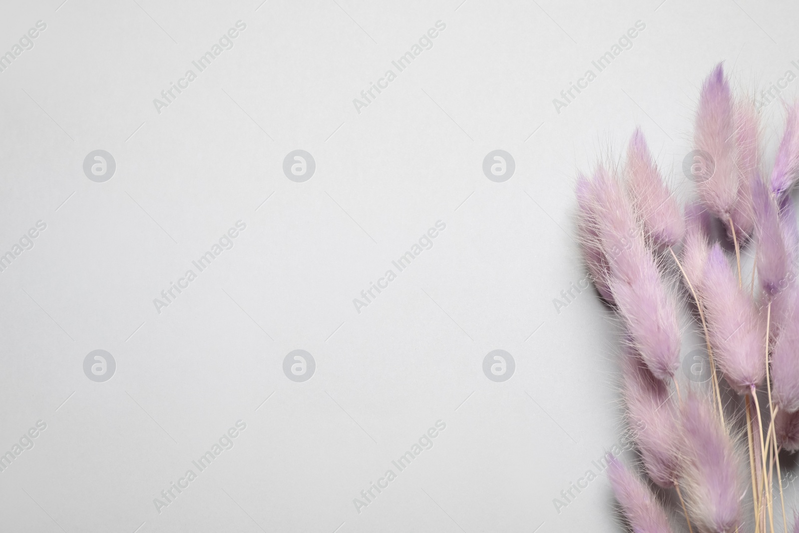 Photo of Bouquet of dried flowers on light grey background, flat lay. Space for text