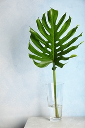 Photo of Vase with tropical monstera leaf on table near color wall