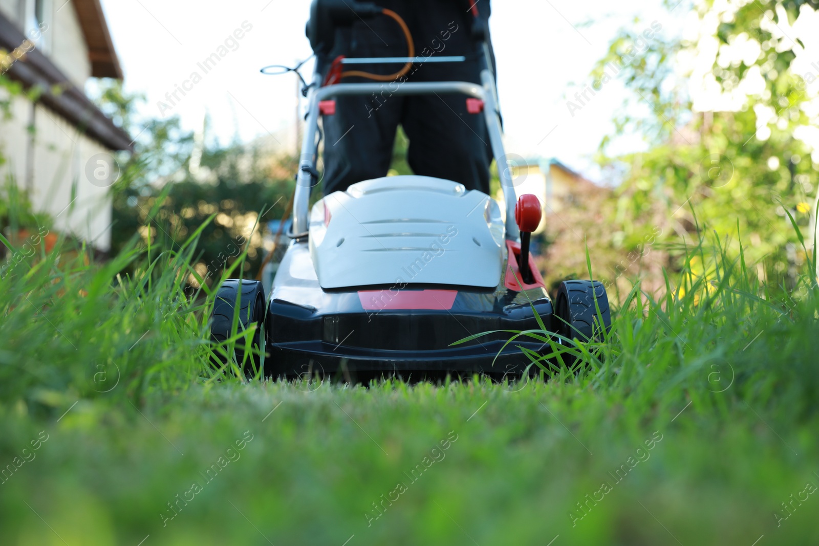 Photo of Man cutting grass with lawn mower in garden, closeup