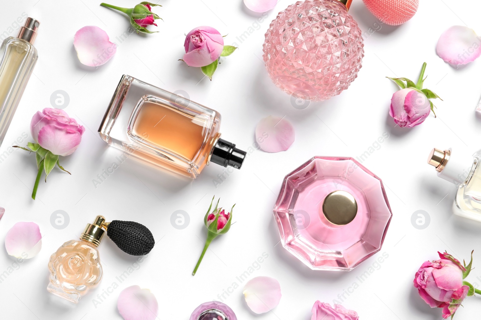 Photo of Different perfume bottles and flowers on white background, top view