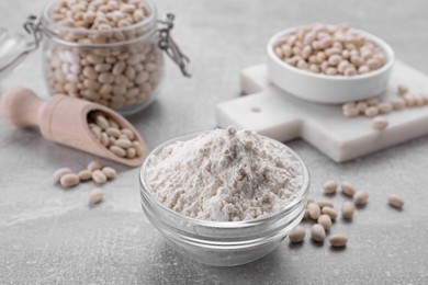 Photo of Bean flour and seeds on light grey table