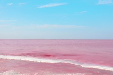 Photo of Beautiful view of pink lake on summer day