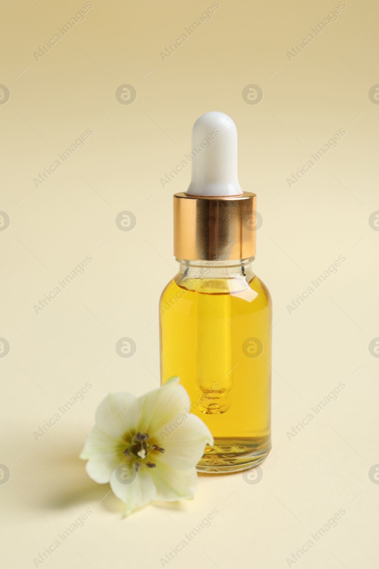 Photo of Bottle with cosmetic oil and flower on beige background