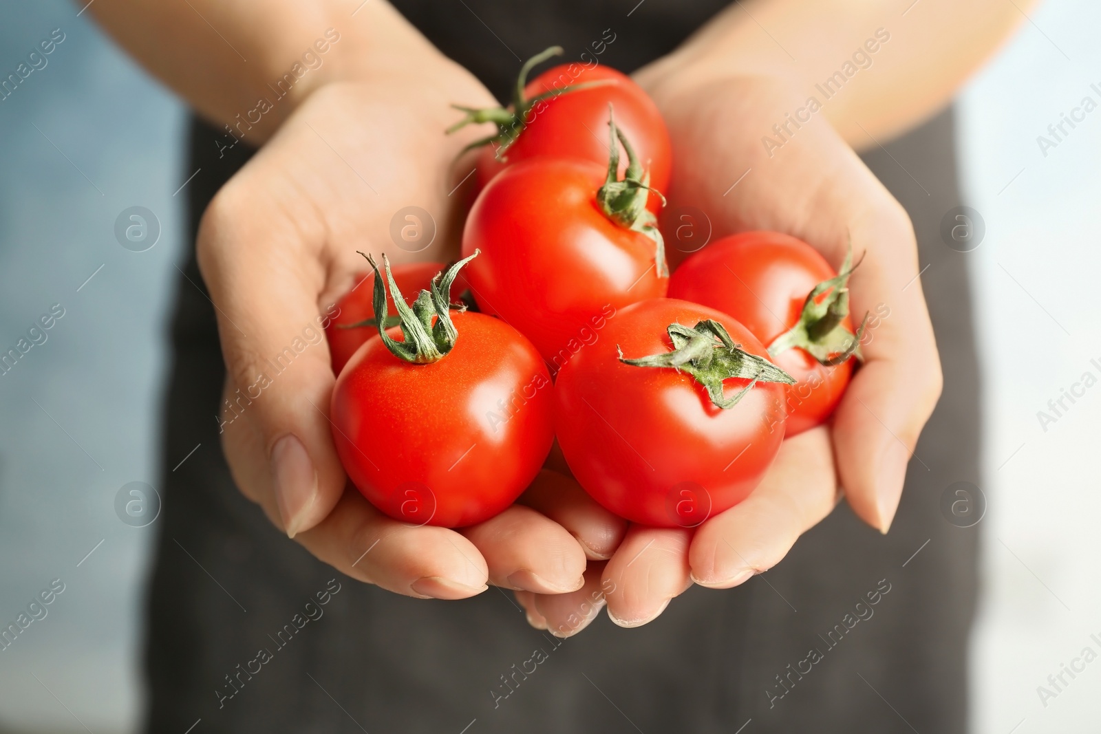 Photo of Woman holding ripe tomatoes in hands, closeup