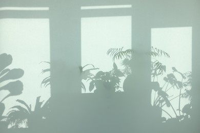 Photo of Shadows from many different plants on light wall indoors
