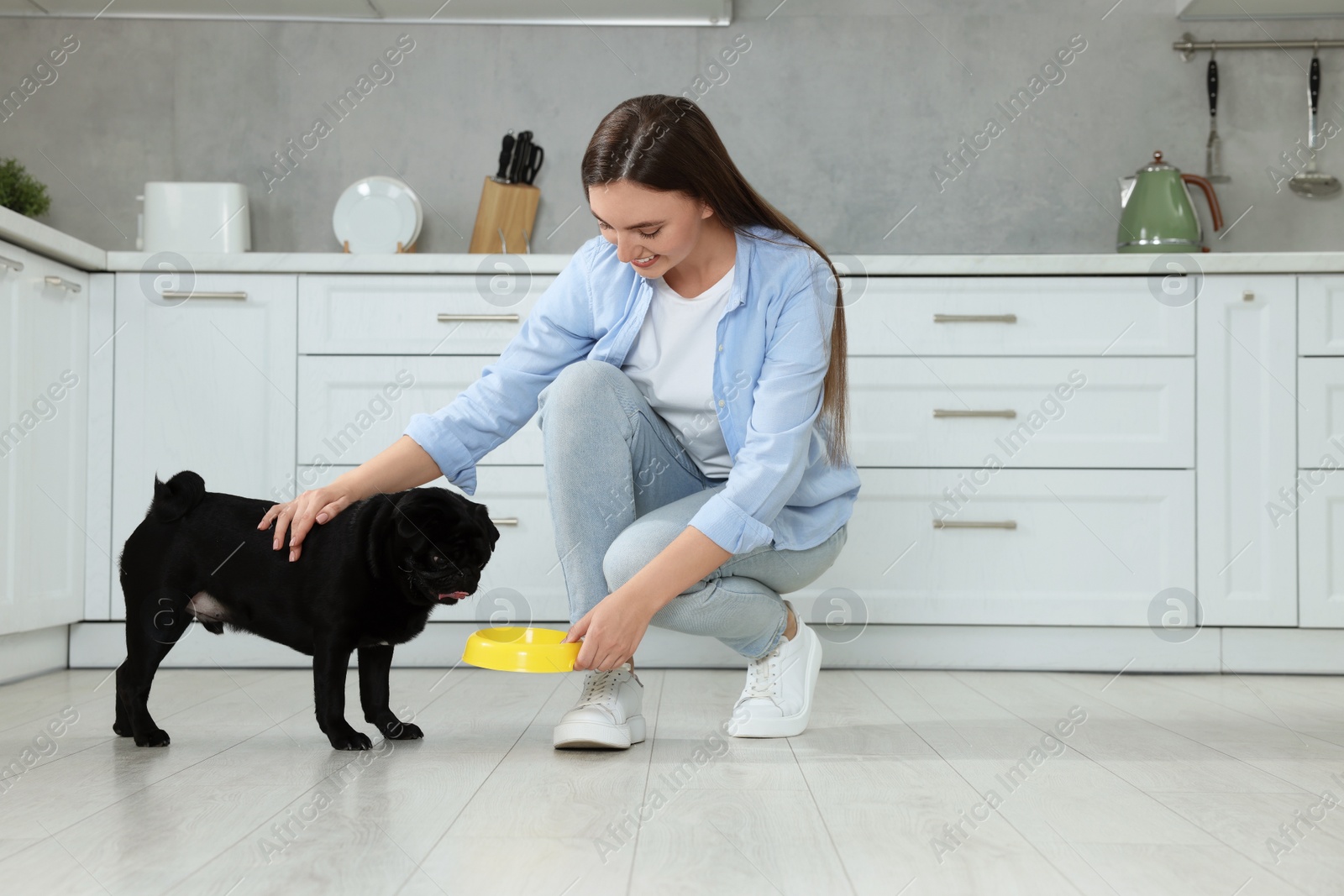 Photo of Beautiful young woman feeding her adorable Pug dog in kitchen