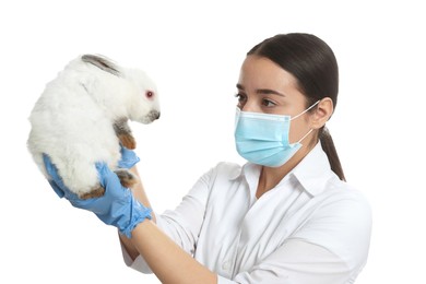 Photo of Scientist holding rabbit on white background. Animal testing concept