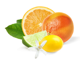 Image of Different citrus fruits with leaves on white background 