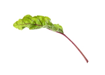 Photo of Leaf of fresh beet on white background