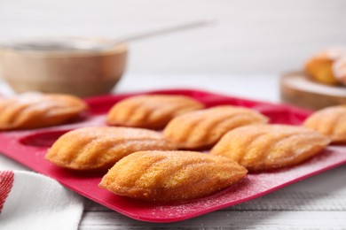 Photo of Delicious madeleine cookies in baking mold on white wooden table, closeup