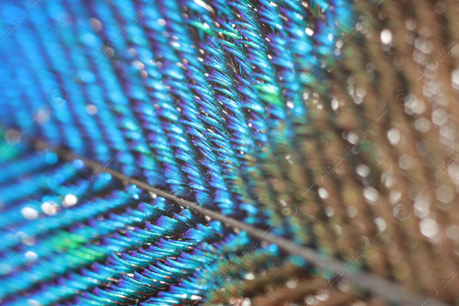 Photo of Texture of beautiful peacock feather as background, closeup