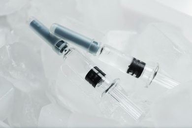 Syringes with COVID-19 vaccine on ice cubes