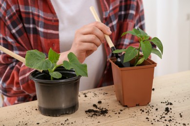 Photo of Woman planting seedlings into pot at wooden table, closeup
