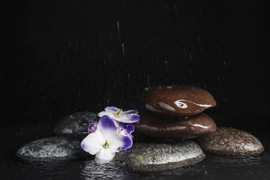 Photo of Stones and flowers in water on black background, space for text. Zen lifestyle