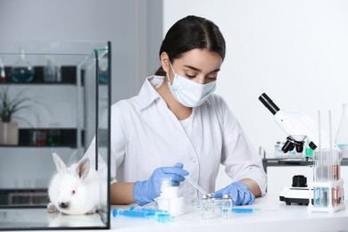 Photo of Rabbit in glass box on table and scientist working with sample at chemical laboratory. Animal testing