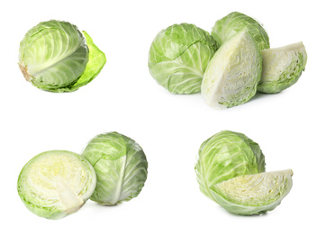 Image of Set of fresh ripe cabbages isolated on white background