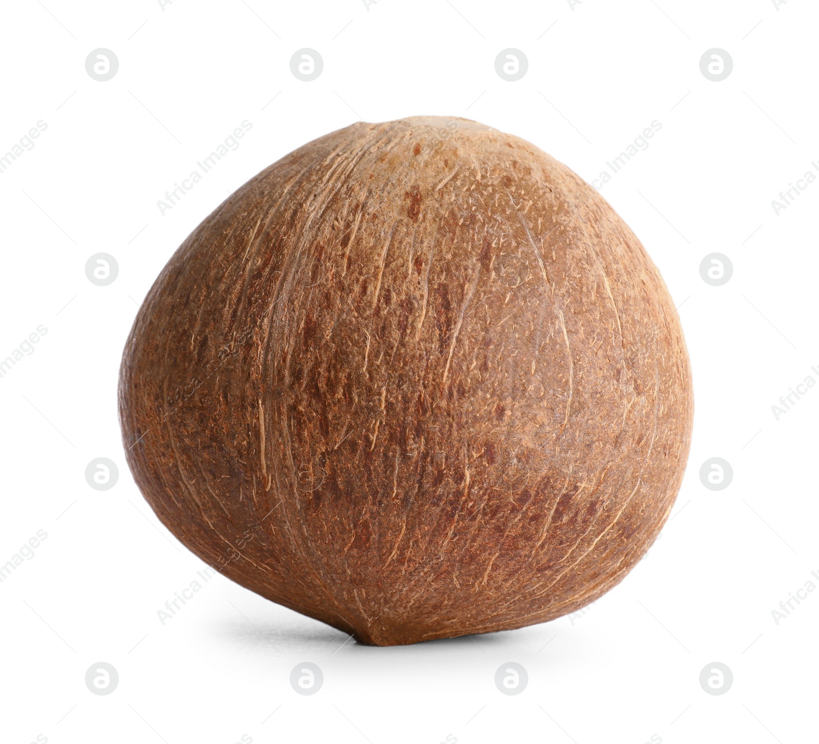 Photo of Ripe whole brown coconut on white background