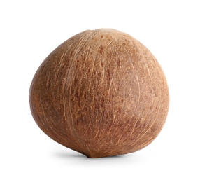 Photo of Ripe whole brown coconut on white background