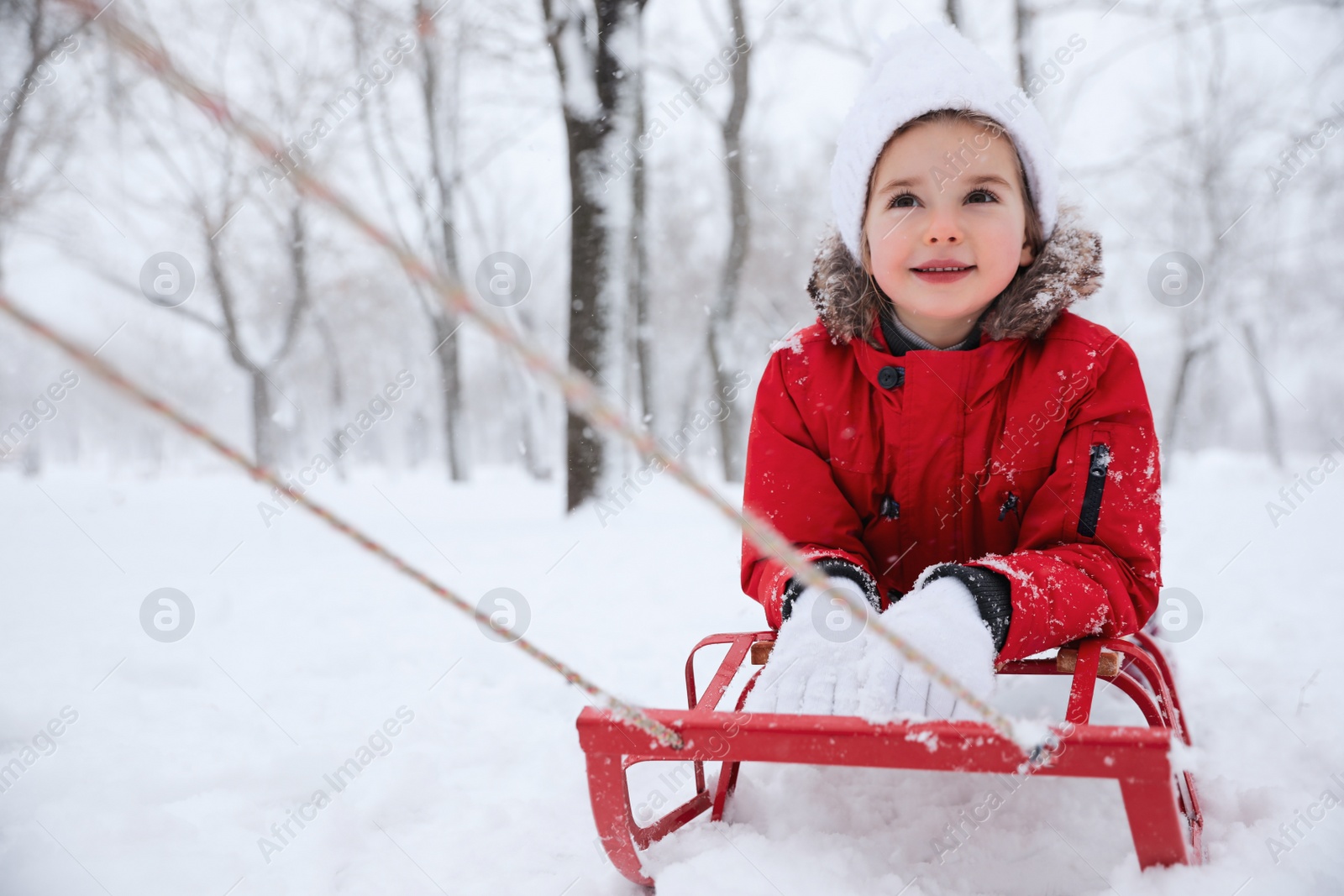 Photo of Cute little girl enjoying sleigh ride outdoors on winter day