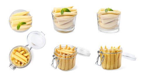 Image of Set with tasty pickled baby corn on white background