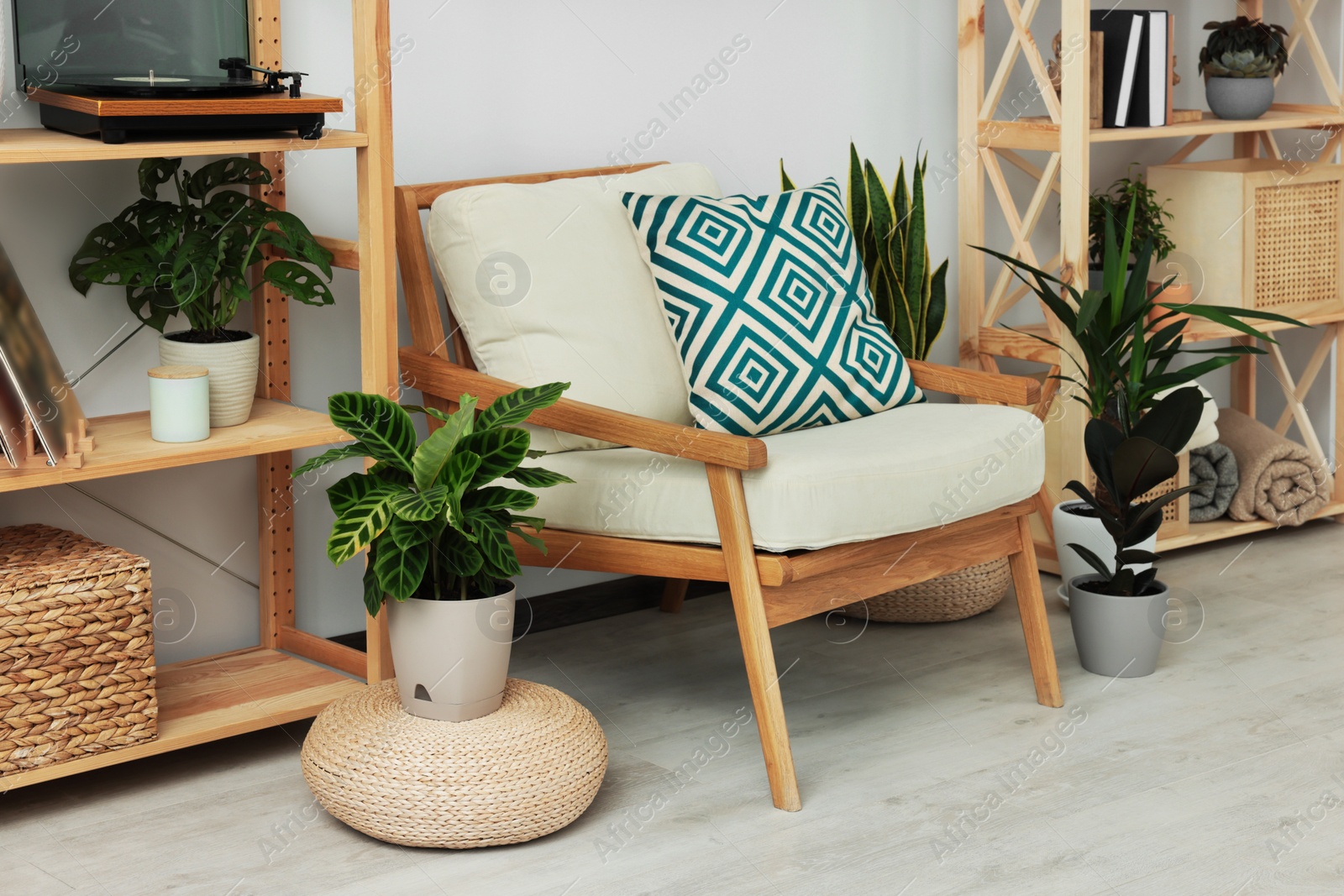 Photo of Beautiful living room interior with different houseplants and wooden furniture