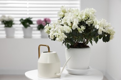 Photo of Beautiful azalea plant in flower pot and watering can on white table indoors, space for text