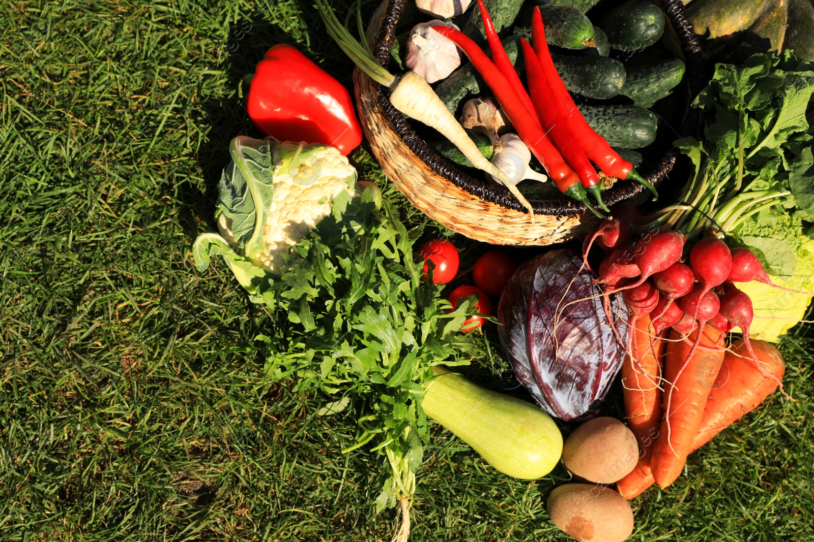 Photo of Different fresh ripe vegetables on green grass, flat lay