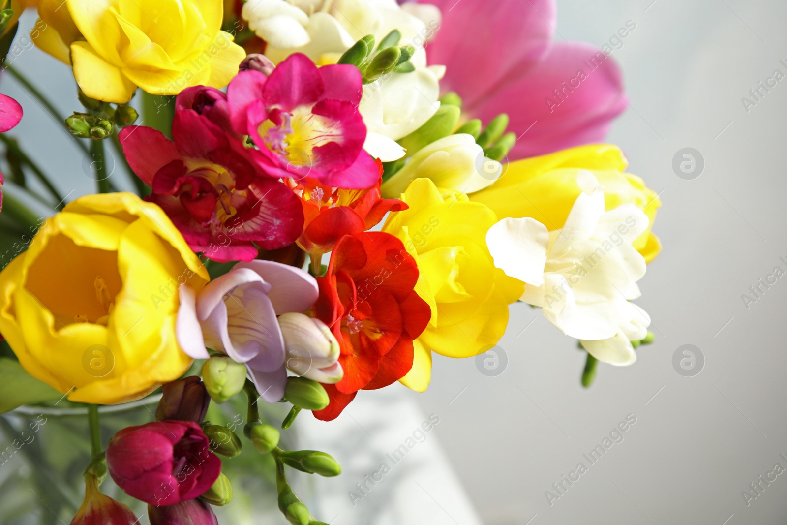 Photo of Beautiful bright spring freesia flowers on blurred background, closeup