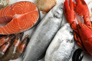 Photo of Fresh fish and seafood on ice, closeup