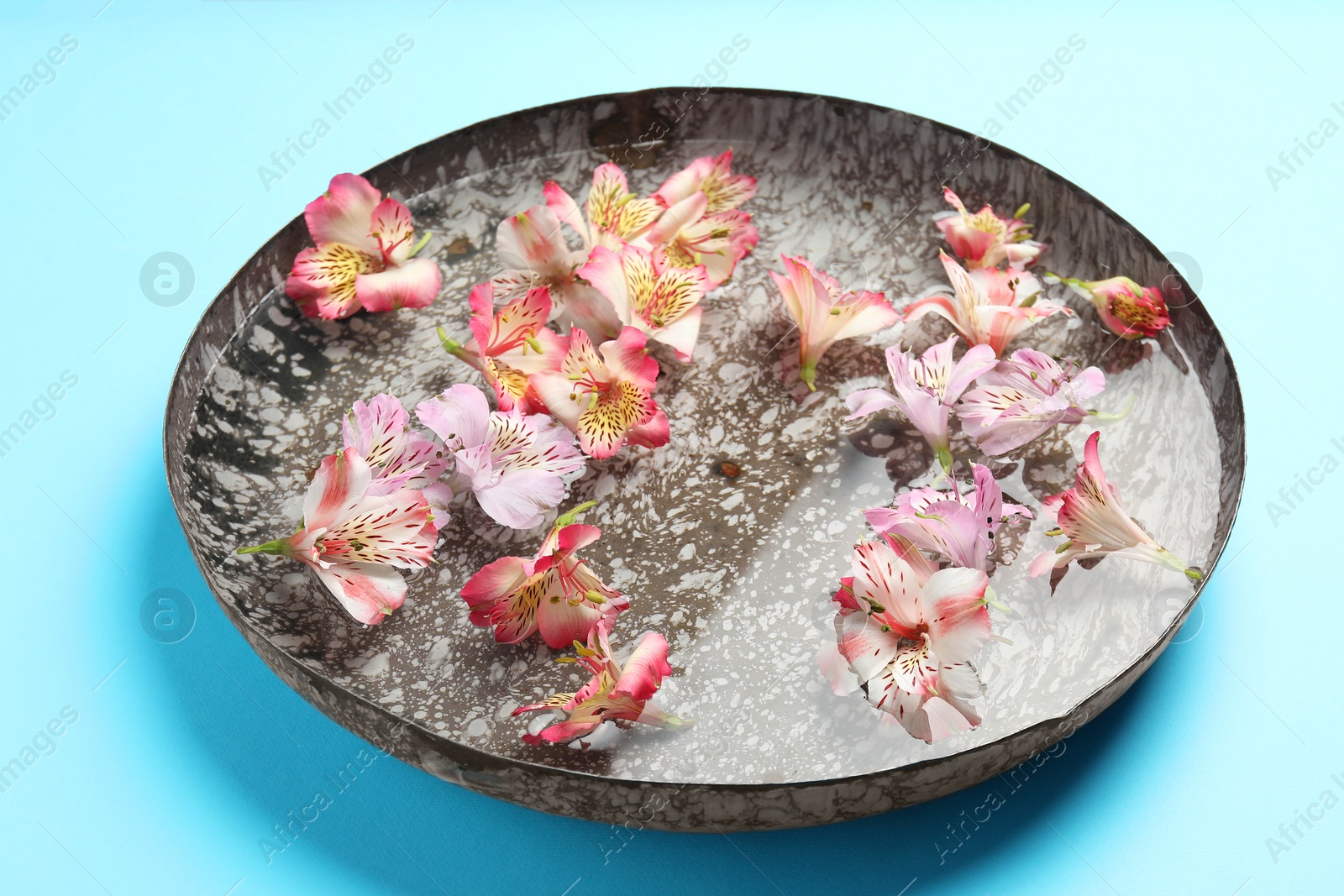 Photo of Bowl of water with flowers on light blue background. Spa treatment