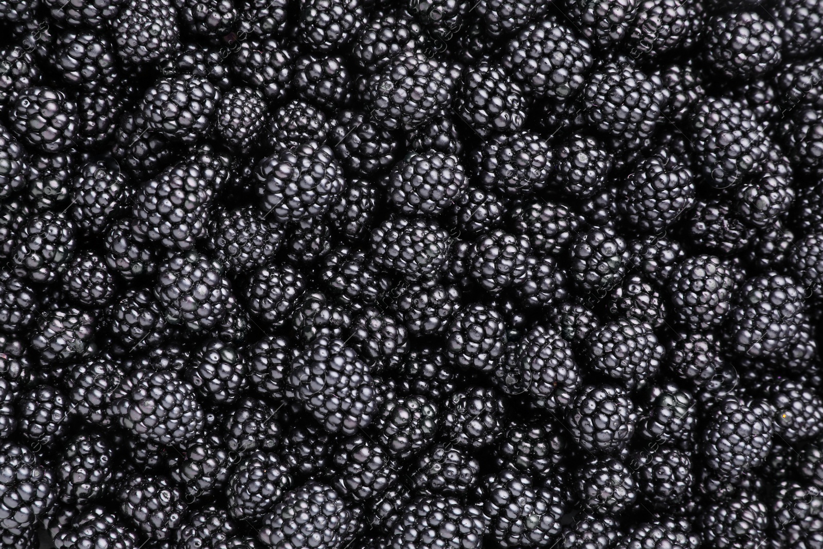 Photo of Many tasty ripe blackberries as background, closeup
