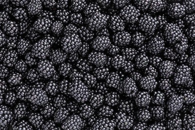 Many tasty ripe blackberries as background, closeup