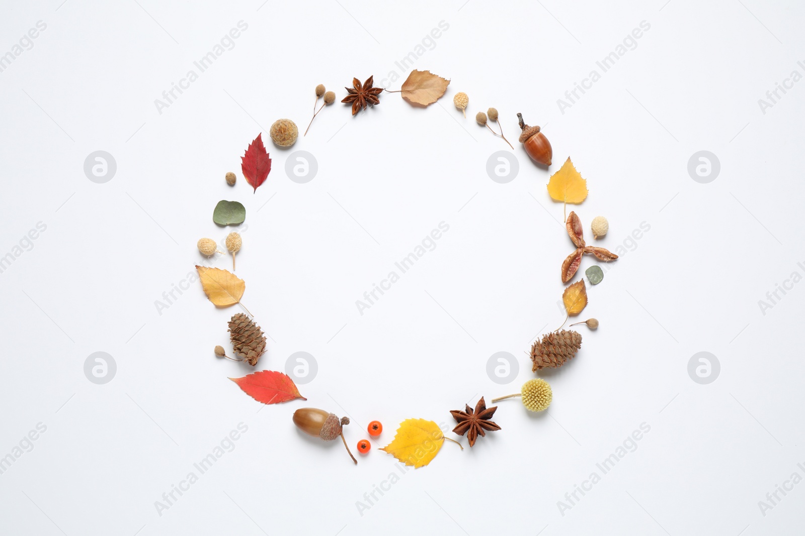 Photo of Flat lay composition with autumn leaves and space for text on white background