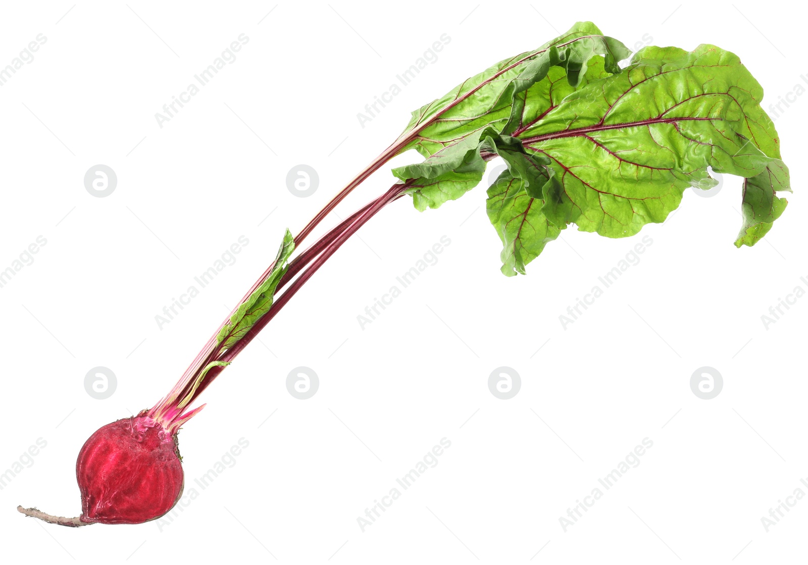 Photo of Half of raw ripe beet with leaves isolated on white