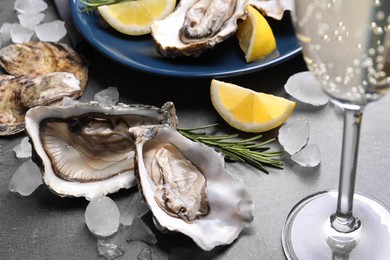 Photo of Fresh oysters with lemon, rosemary and glass of champagne on grey table, closeup