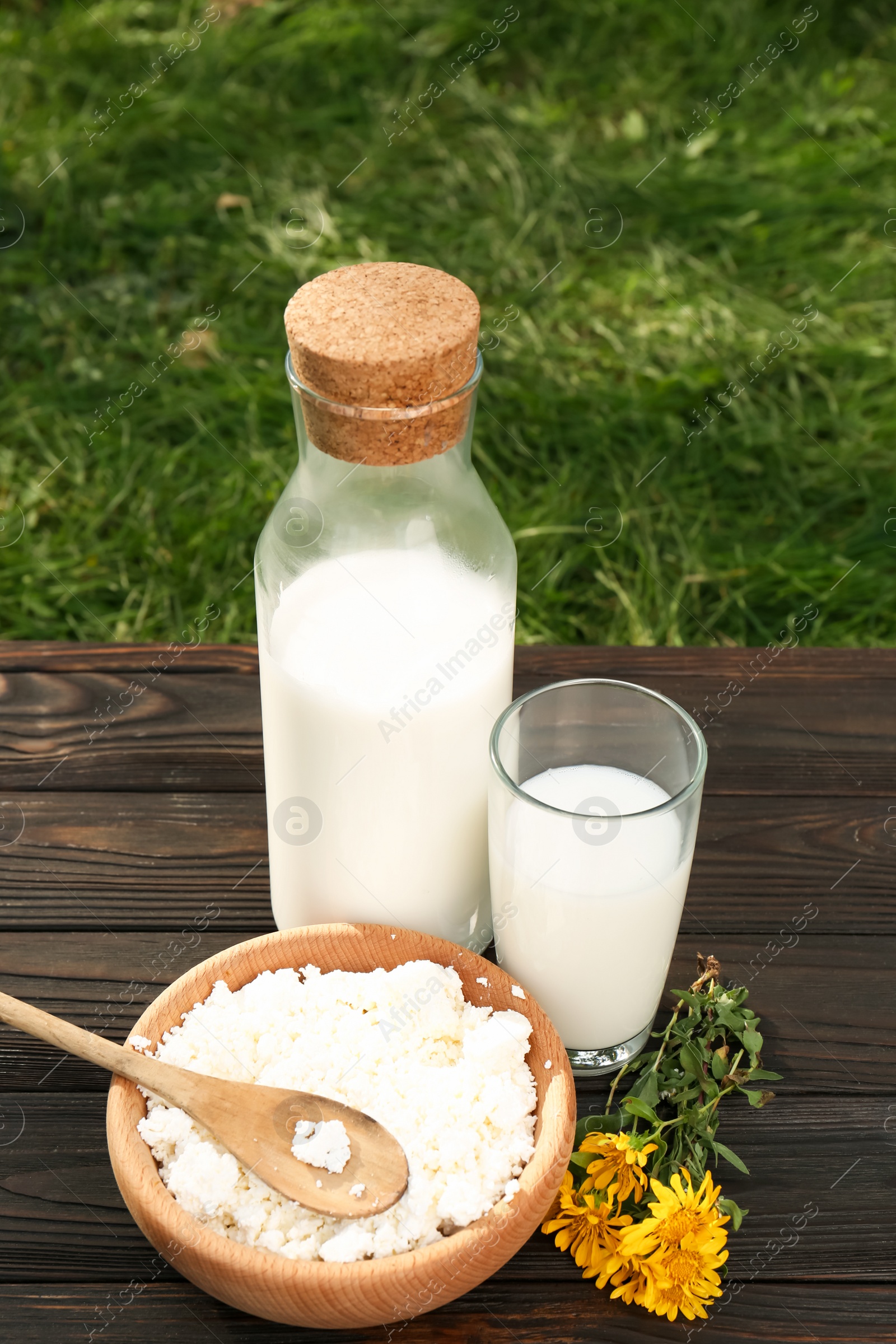 Photo of Tasty fresh milk and cottage cheese on wooden table outdoors