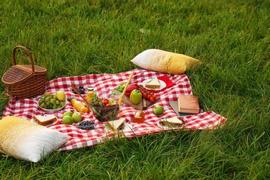 Picnic blanket with delicious snacks on grass in park