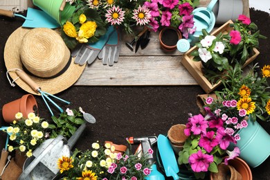 Photo of Flat lay composition with gardening equipment and flowers on soil, space for text