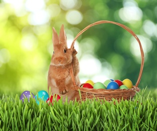 Image of Cute bunny and colorful Easter eggs on green grass outdoors