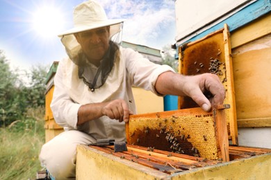 Photo of Beekeeper in uniform taking frame from hive at apiary. Harvesting honey