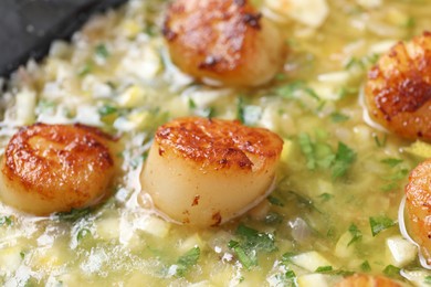 Fried scallops with sauce in dish, closeup